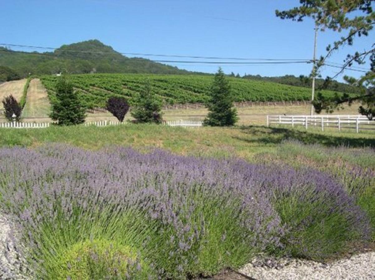 The Gables Wine Country Inn Santa Rosa Exterior photo
